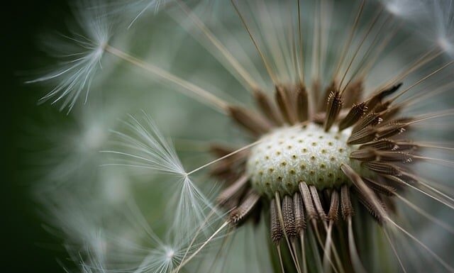 Jak nosić puchowa kamizelkę? Jak nosić puchowa kamizelkę?