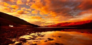 Czy można zwrócić majtki?