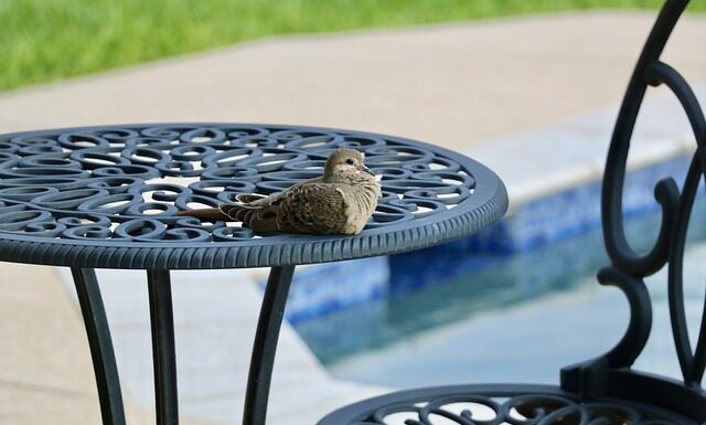 Czy na basenie można kąpać się w koszulce? Czy na basenie można kąpać się w koszulce?