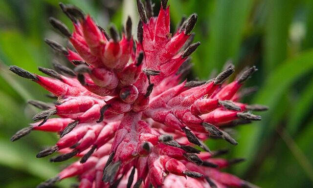 Czy wazelina jest dobra na pięty?