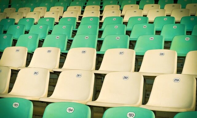 Czy plastikowe etui rysuje telefon?