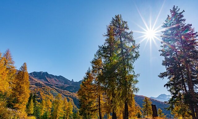 Jak zrobić masę cukrową na figurki do tortu? Jak zrobić masę cukrową na figurki do tortu?