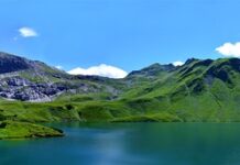 Jaka sukienka dla wysokich i szczupłych? Jaka sukienka dla wysokich i szczupłych?