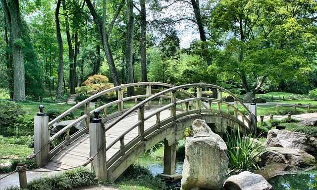 Czy warto kupić Japoński traktorek?