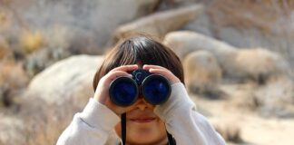 Po co luneta w zegarku?