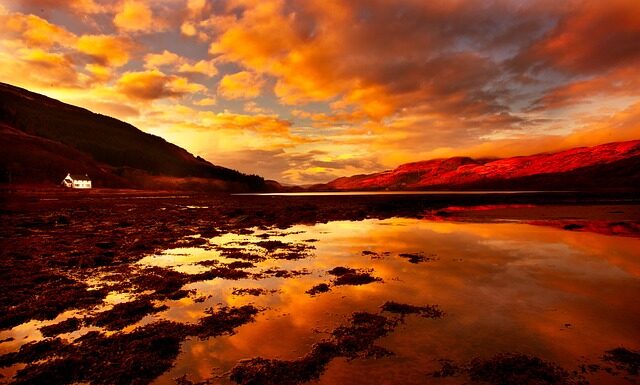 Czy można wymienić majtki w Sinsay?