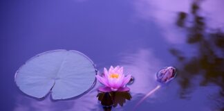 Jak powinien wyglądać elegancki mężczyzna?