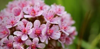 Co jest na tarczy zegarka?