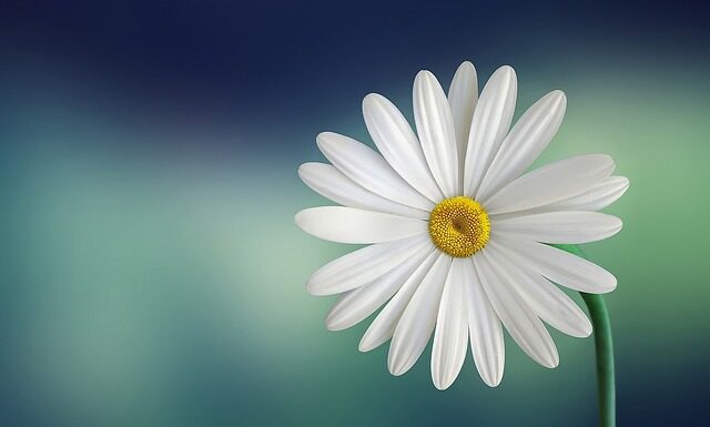 Jak zrobić biały Drip? Jak zrobić biały Drip?