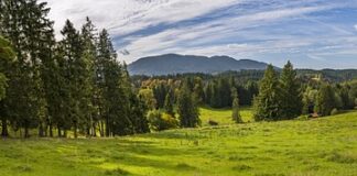 Jak usunąć przebarwienia na butach?