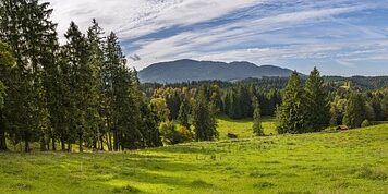 Jak usunąć przebarwienia na butach? Jak usunąć przebarwienia na butach?