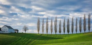 Co oznaczają kolory gąbek?