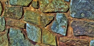 Czy naturalne futra są modne?