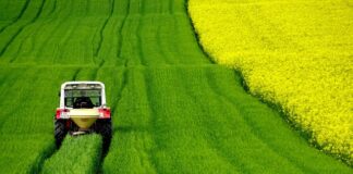 Ile kosztuje ciągnik Kubota?