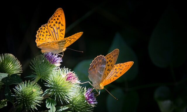 Czy figurki z masy cukrowej można przechowywać w lodówce? Czy figurki z masy cukrowej można przechowywać w lodówce?