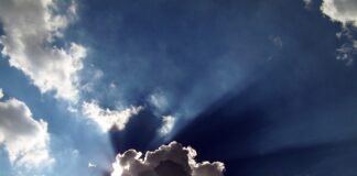 Jaka podszewka najlepsza?