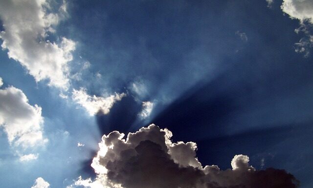 Jaka podszewka najlepsza? Jaka podszewka najlepsza?