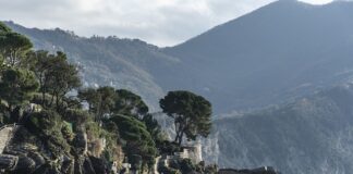 Ile kosztuje Custom na butach?