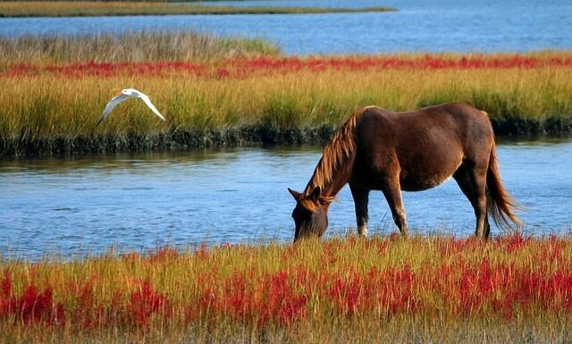 Jak zrobić kucyk bez widocznej gumki? Jak zrobić kucyk bez widocznej gumki?