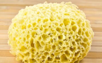 Czy gąbki mają szkielet? Czy gąbki mają szkielet?