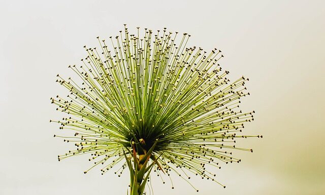 Do czego pasuje zielony golf? Do czego pasuje zielony golf?