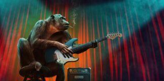 Czy małpa ma futro?