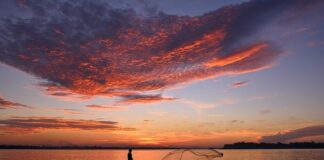 Jak używać siatki florystycznej?