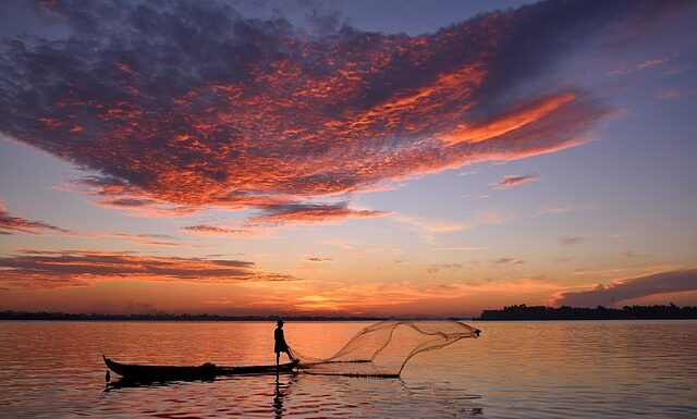 Jak używać siatki florystycznej? Jak używać siatki florystycznej?