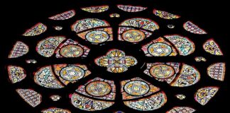 Jak farbować sztuczne futro?