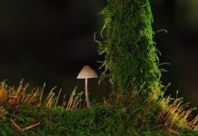 Kiedy but jest za mały? Kiedy but jest za mały?