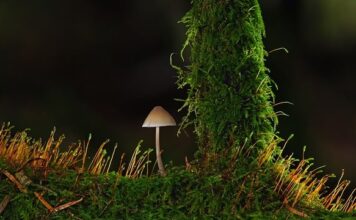 Kiedy but jest za mały? Kiedy but jest za mały?