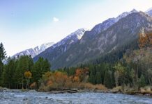 Jak Przykleić etykietę vinted? Jak Przykleić etykietę vinted?