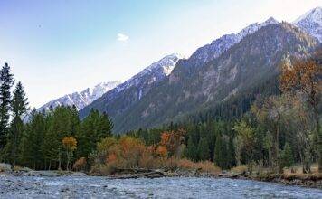 Jak Przykleić etykietę vinted?