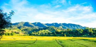 Kto płaci za przesyłkę w Vinted?