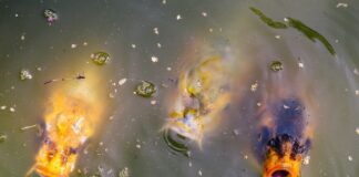 Jakie majtki Oddychają?