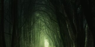 Do czego jest zielona gąbka?