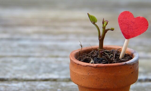 Jak rozciągnąć glany? Jak rozciągnąć glany?