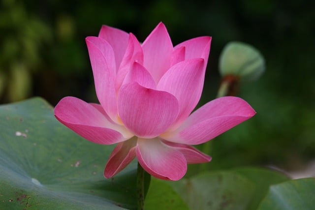 Jak się mówi po angielsku golf? Jak się mówi po angielsku golf?