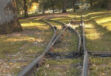 Czy lekarz rodzinny może wystawić skierowanie na ortezę? Czy lekarz rodzinny może wystawić skierowanie na ortezę?