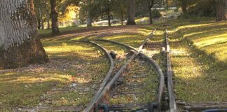 Czy lekarz rodzinny może wystawić skierowanie na ortezę?