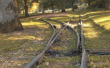 Czy lekarz rodzinny może wystawić skierowanie na ortezę?