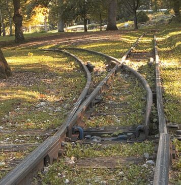 Czy lekarz rodzinny może wystawić skierowanie na ortezę?