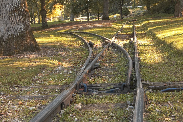 Czy lekarz rodzinny może wystawić skierowanie na ortezę? Czy lekarz rodzinny może wystawić skierowanie na ortezę?