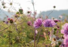 Co założyć pod prześwitujące spodnie? Co założyć pod prześwitujące spodnie?