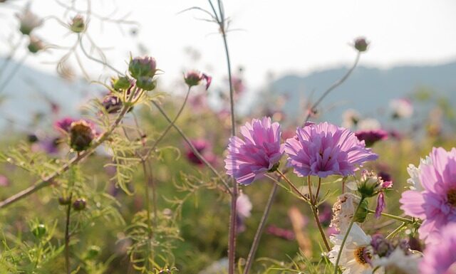 Co założyć pod prześwitujące spodnie?