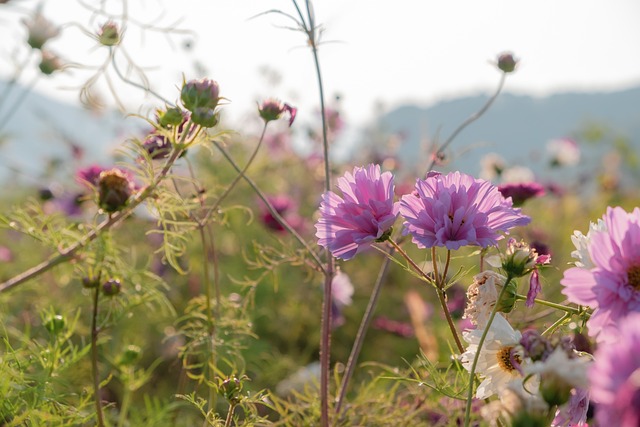 Co założyć pod prześwitujące spodnie? Co założyć pod prześwitujące spodnie?