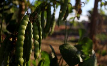 Czego nie lubią włosy? Czego nie lubią włosy?