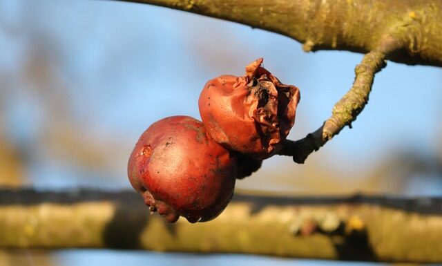 Czy spodnie po praniu się kurczą?