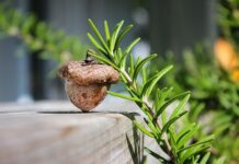 Czy glany są modne? Czy glany są modne?