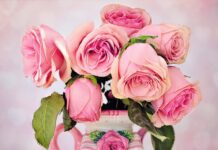 Jak zrobić róże na tort? Jak zrobić róże na tort?